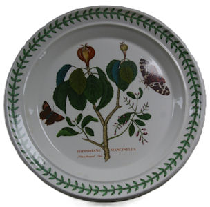 Portmerion Botanical Garden